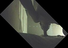 Etalon Gets Drained with Full Balls at Glory Hole Sucking