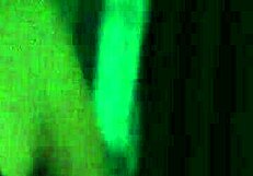 sexy ass milf flashing by the hotel window, what do you think?