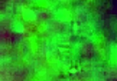 sexy ass milf flashing by the hotel window, what do you think?