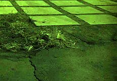 girl bondage orgasm and private partner associate gangbang unless youre ready