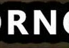 Adriana Jolie inserts multiple dildos into her wet pussy