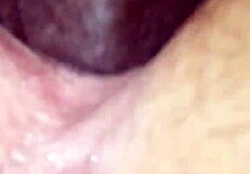 the bad girl sets up an interracial wet pussy trap and gets fucked hard