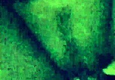 Latina cums hard with creamy dildo play