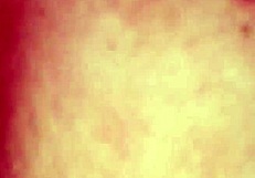 the bad girl sets up an interracial wet pussy trap and gets fucked hard