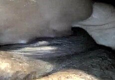 chocolate spinner eats big black dick