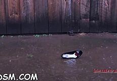 Spicy Brunette Cutie Masturbates With Huge Sex Toy In Fetish BDSM