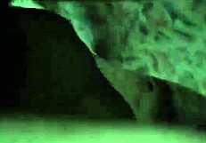 step sister cums four times