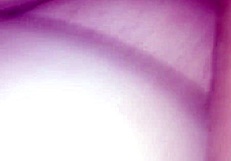 Thick Booty Or Monster Cock?