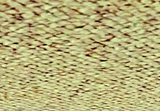 Doa5 Sayuri Gravure Studio Showcases Big Tits Ass Nude Teasing Posing