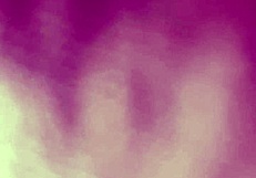 Bosshoggy intensely strokes his monster cock