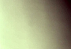 Bosshoggy intensely strokes his monster cock