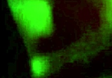 watching neighbor fuck in bathroom