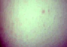 Horny Blonde With Big Ass Getting Pussy Fucked