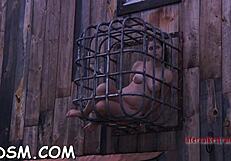 Watch These Sloppy Blowjobs In Sadomasochism Videos!