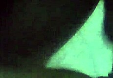 Amateur Couple Me And My Girlfriend