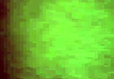 Latina Amateur Was a Great Fuck, Part 1