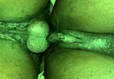 My wife in her first amateur porn session