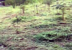 Trilha de eng goulart acaba em orgia ao ar livre completo no red