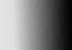 Shemale Moans and Screams During Intense Doggy Style Ass Fucking