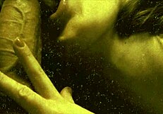 vintage roommates explore each other's hairy bodies in the dorm.