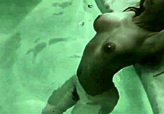 vintage roommates explore each other's hairy bodies in the dorm.