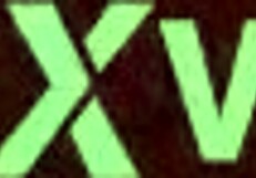 I try anal with an amateur partner