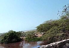 Cule arrechera que me vio y fue pa esa enseguida