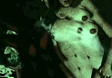 My Secret Life Vintage Interracial Anal!