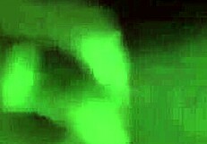 blac chyna's 2018 sex tape leaked online