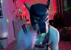 Owner Bent Over Partner In Doggie Costume For Double Anal Assfucking