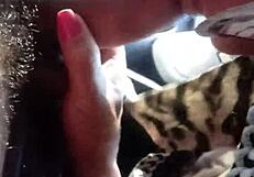 Brazilian Shemale Enjoys Oral Quickie In The Car