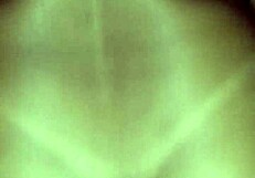 Esposa Fogosinha Sex