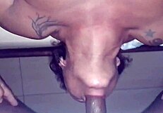 Damn! Another Hot Oral Session with Black Transsexual Cock