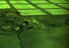 Brazilian Teen BDSM Domination Extreme Hardcore Sex Unless You're From The Sixties