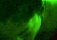 Hot latina wife shares with amateurs