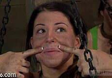 Sweet Sweetheart Gets Lusty Collaring