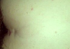 Monster cock drills wife in dogstyle