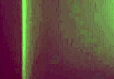 Latina Girlfriend Gives Sultry Blowjob After Beers