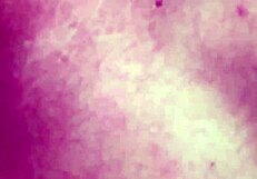 Shemale engages in intense fucking with guy