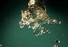 Amirah Adara asks Tiffany Tatum, 'Dive into my muff?'