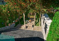 Megaoral - How Many Blowjobs Can Aaf Handle The Answer Is - Many