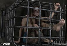 Sadomasochism Fetish Porn Unleashed!