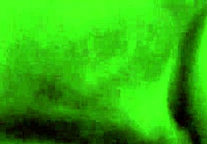 I fuck rica culona in perrito. Big ass bent over with monster cock.