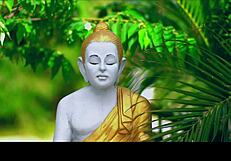 Telugu Lady Sparks Curiosity with Her Hidden Desires