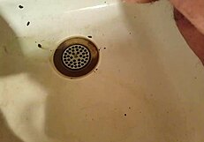 Milf Cougar Squirts With Dildo Toys