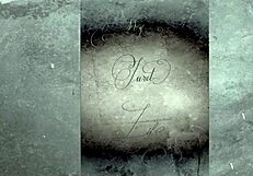 Vintage photography captures hairy Asian women in raw interracial scenes