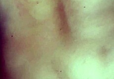 liliango exploring new adventures in the city