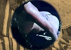 Vintage photography captures hairy Asian women in raw interracial scenes