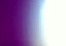 She Convinces Me To Suck It In The Truck