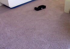 Megan Tricked into Revealing More During Not So Innocent Photoshoot Session